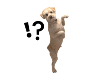 844788968