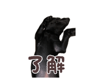 844788987