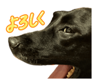 844788988
