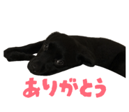 844788990