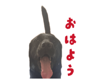 844788991