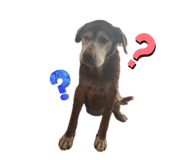 844789002