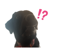 844789003