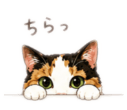 844789131