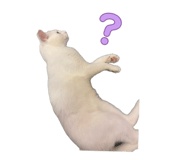 844789164