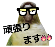 844789594