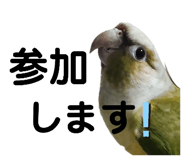 844789597