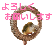 844789606