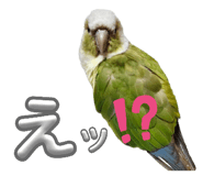 844789608
