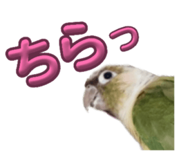 844789612