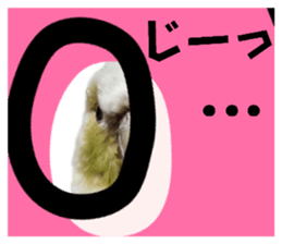 844789618