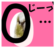 844789618