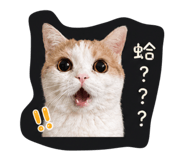 844796007