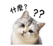 844796536