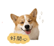 844796553