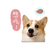 844796555