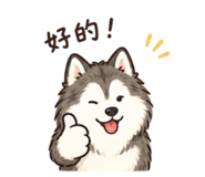 844796874