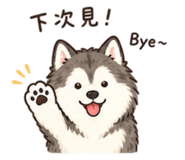 844796887