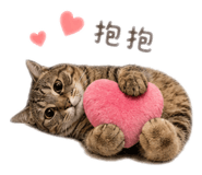 844796923