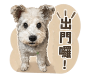 844798426