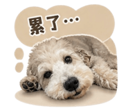 844798432