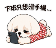 844798595