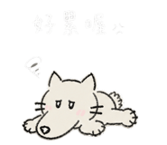 844798954