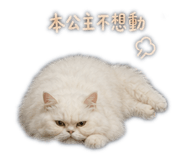 844799173