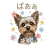 844800677