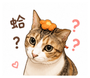 844802698