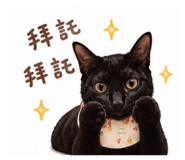 844802703