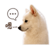 844802776
