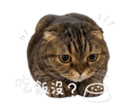 844802788