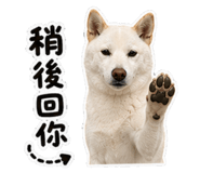 844802948