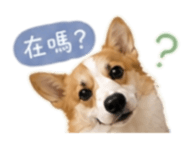 844802966