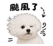 844803744