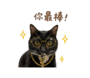 844803770
