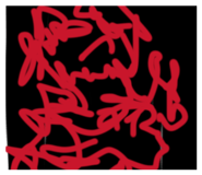 844804888