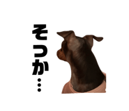 844804978