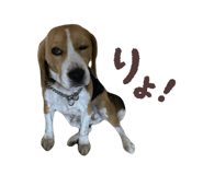 844804980