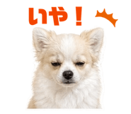 844805038