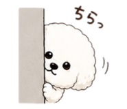 844805057