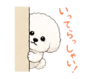 844805064