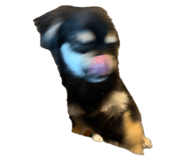 844805264