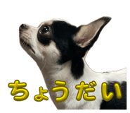 844805298