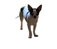 844805304