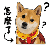 844806491