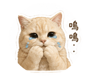 844806996
