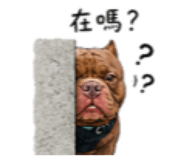 844807049