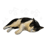 844807598